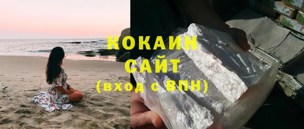 ECSTASY Гусь-Хрустальный