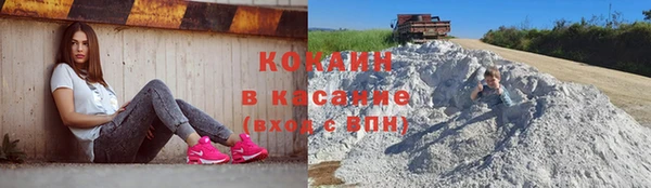 молекула духа Гусев