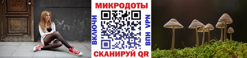 Галлюциногенные грибы Psilocybe  darknet Telegram  Кяхта  продажа наркотиков 