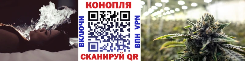 Шишки марихуана планчик Кяхта