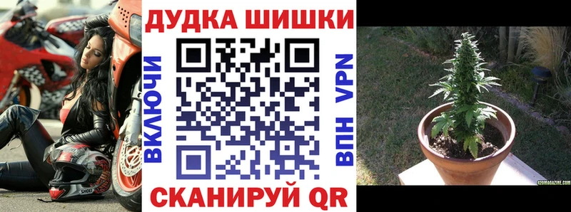 Каннабис VHQ Кяхта